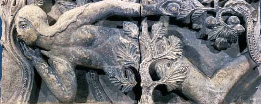 Storiadelledonne
